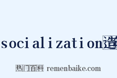socialization造句是什么意思的图片